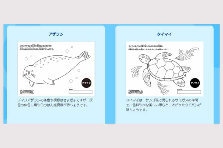 鴨川シーワールド公式サイトのぬりえ無料ダウンロードページのアザラシぬりえとタイマイのぬりえの画像を引用した画像