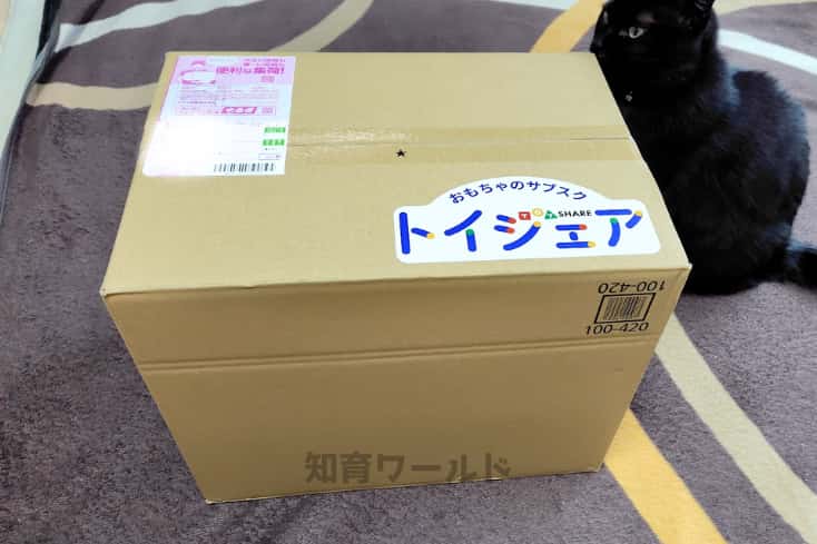 トイシェアから届いた箱の写真