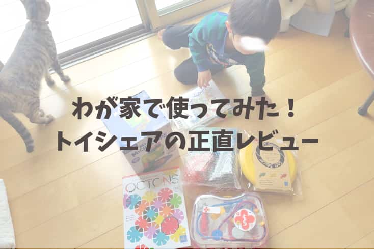 トイシェアから届いたおもちゃ6点を出して子どもが遊んでいるところの写真
