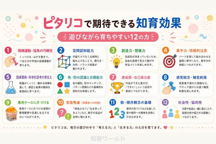 ピタリコで期待できる知育効果12個をインフォグラフィックにまとめた画像