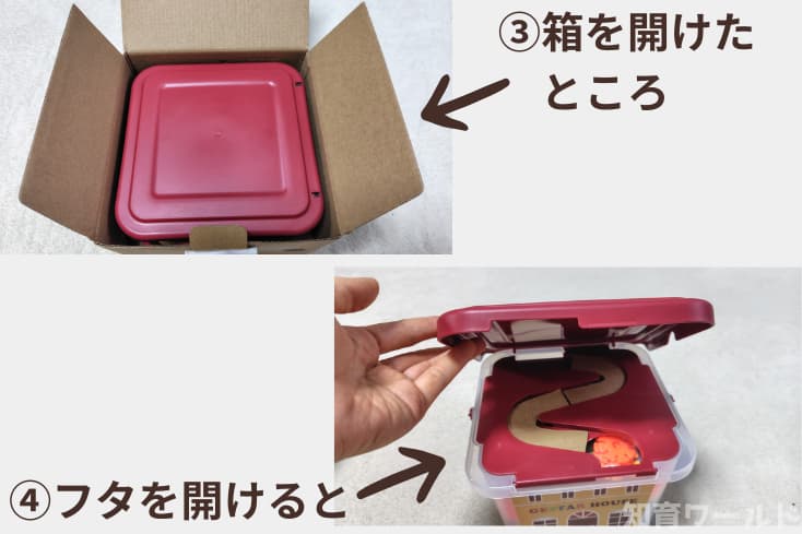 ジスターの箱を開けたら専用ケースにすべてが入っていたところの写真
