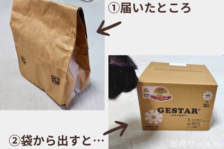 ジスターがわが家に届いたときの簡易包装の写真と簡易包装からジスターを取り出したところの写真