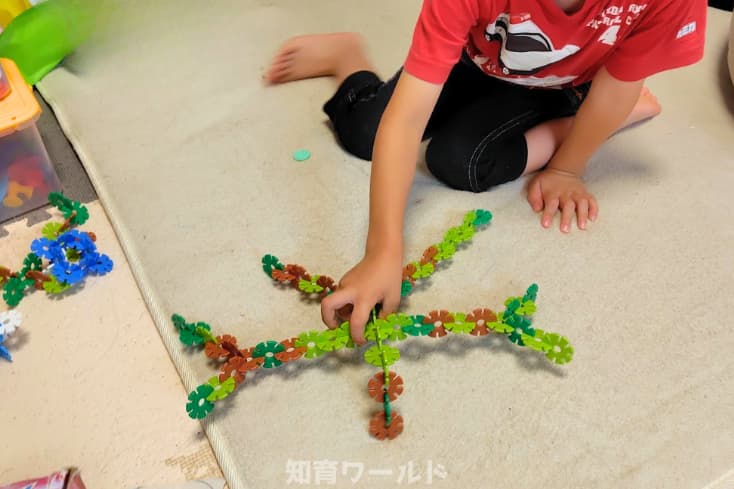5歳の息子がジスターでウッドダダンダンを作って遊んでいるところの写真