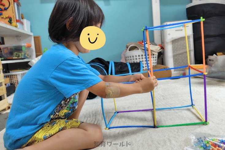 ロンビーでジャングルジムを作る5歳の息子の写真
