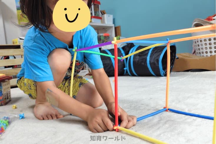 ロンビーで四角の立体を作る5歳の息子の写真