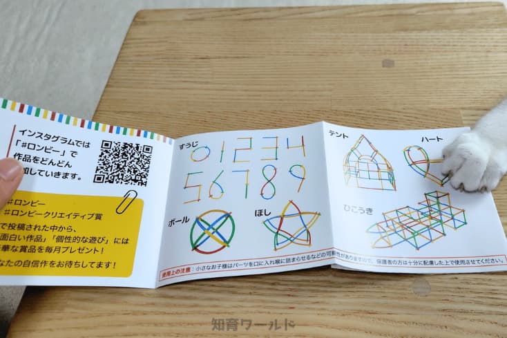ロンビーに付属されていた作品例の紙の写真