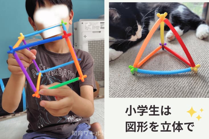 小学生の息子が立体で四角形や円錐を作っている写真