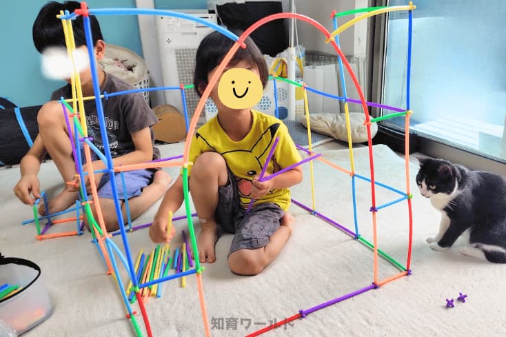 ロンビーで遊ぶ5歳の息子と小学生の息子の写真